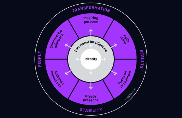 talogy inview framework diagram